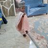 sulmuham1