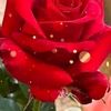 abid____63