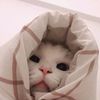 dya_679
