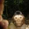 hueputalo11