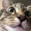 random_username610