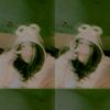 tarrrrrrrrrrrrrrrrrri1