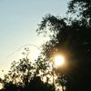 ☀𝘔𝘦𝘯𝘵𝘢𝘳𝘪 𝘗𝘢𝘨𝘪☀