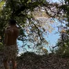 peddrosc_