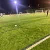 owen_251