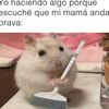 fabianceron53