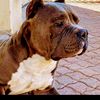 user1416862011148