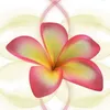 ana.coelho362