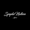 spydanationstudio