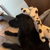 schnawgss