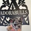 adorabullreproduction