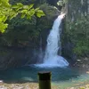 anginettelibut