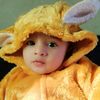 haddi.rajpoot.786