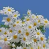 phuong.bich.vn2809