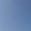 n_kurdii88
