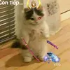 huy.slingshot02
