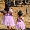 selvammuthusamy84