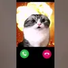 user6901573887399