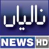 naliannews3311
