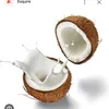 com.coconuts