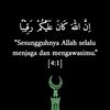lily_vir.aqua.25