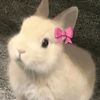newarniiiii_13
