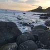 NgHạnh