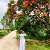 preetyyyydanuwar