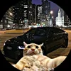 josu_1234luna
