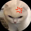 cucaiwhite