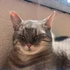 filimarco