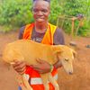 Alex _dogshelter_ Uganda