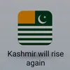 tariqmahmood0747