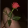 roserosepinky