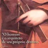 alisson.krause