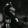 wilder._735