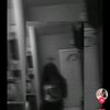yosii_18