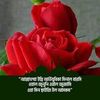 mdebrahimkhan020