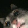 dev_iyaww