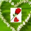 user9972796217431