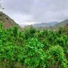 hitham.alomari