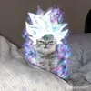 kunigami_42