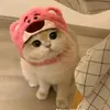 zotri_23