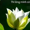 tiktok567jkq