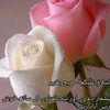 1234younaskhan1