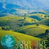 bokhi04