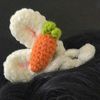 sannicholas_0504