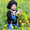 minhtaybac