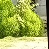 1q.ka6