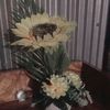 abulbashar8443